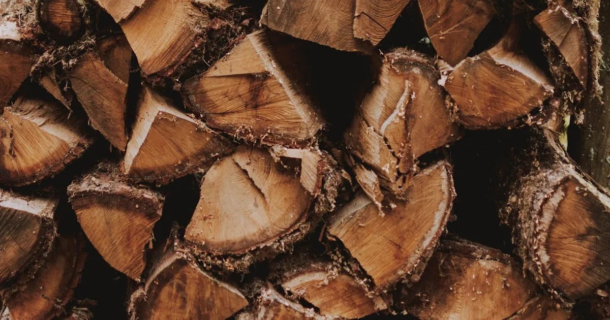Bois dur vs bois tendre : Différences pour le chauffage
