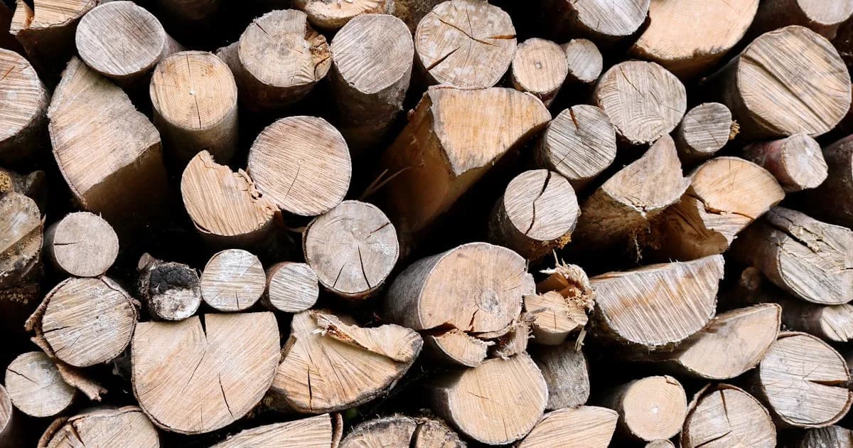 Essences de bois à privilégier : Chêne, hêtre, frêne