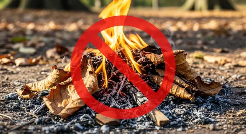 Déchets verts et végétaux : Interdiction et amendes